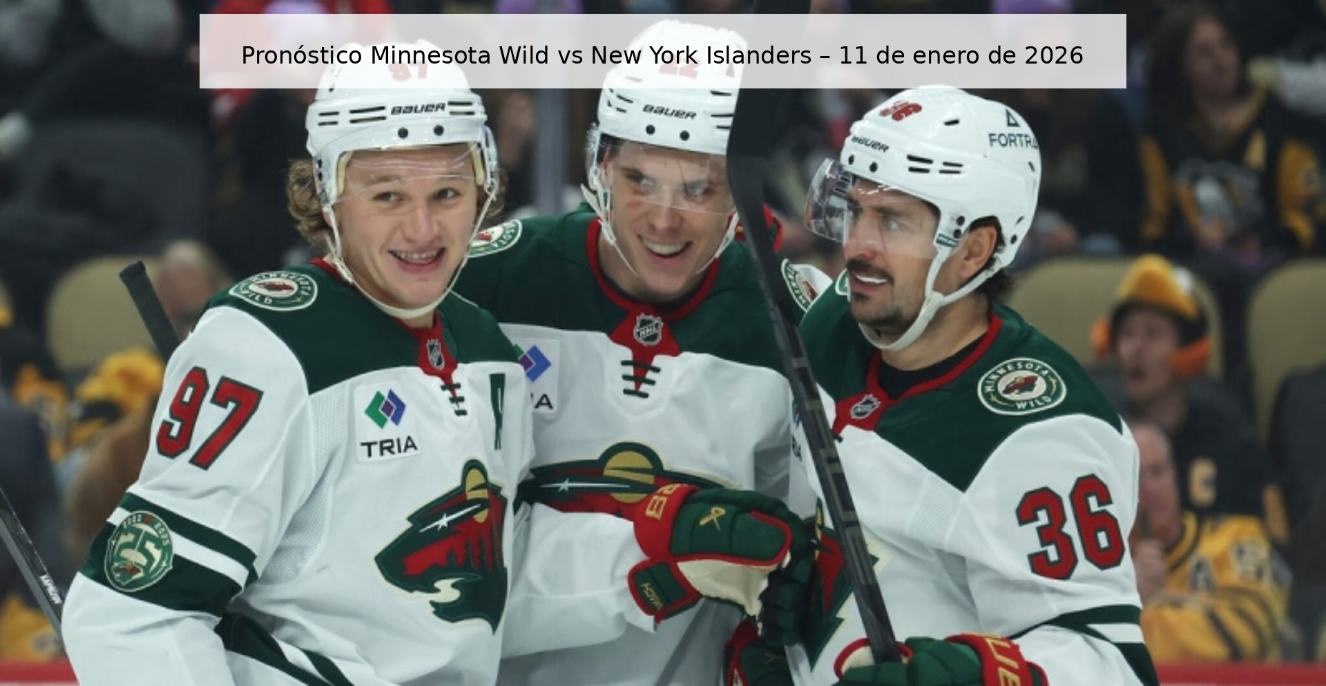 Pronóstico Minnesota Wild vs New York Islanders – 11 de enero de 2026