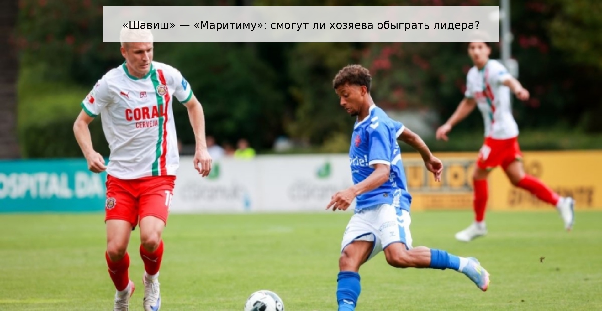 «Шавиш» — «Маритиму»: смогут ли хозяева обыграть лидера?