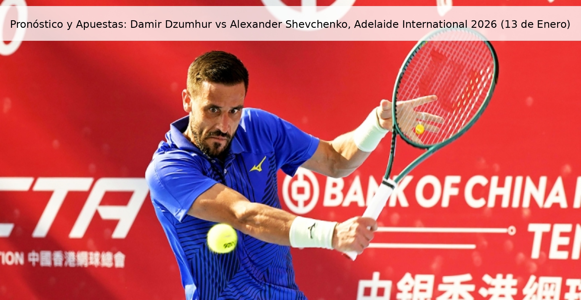 Pronóstico y Apuestas: Damir Dzumhur vs Alexander Shevchenko, Adelaide International 2026 (13 de Enero)