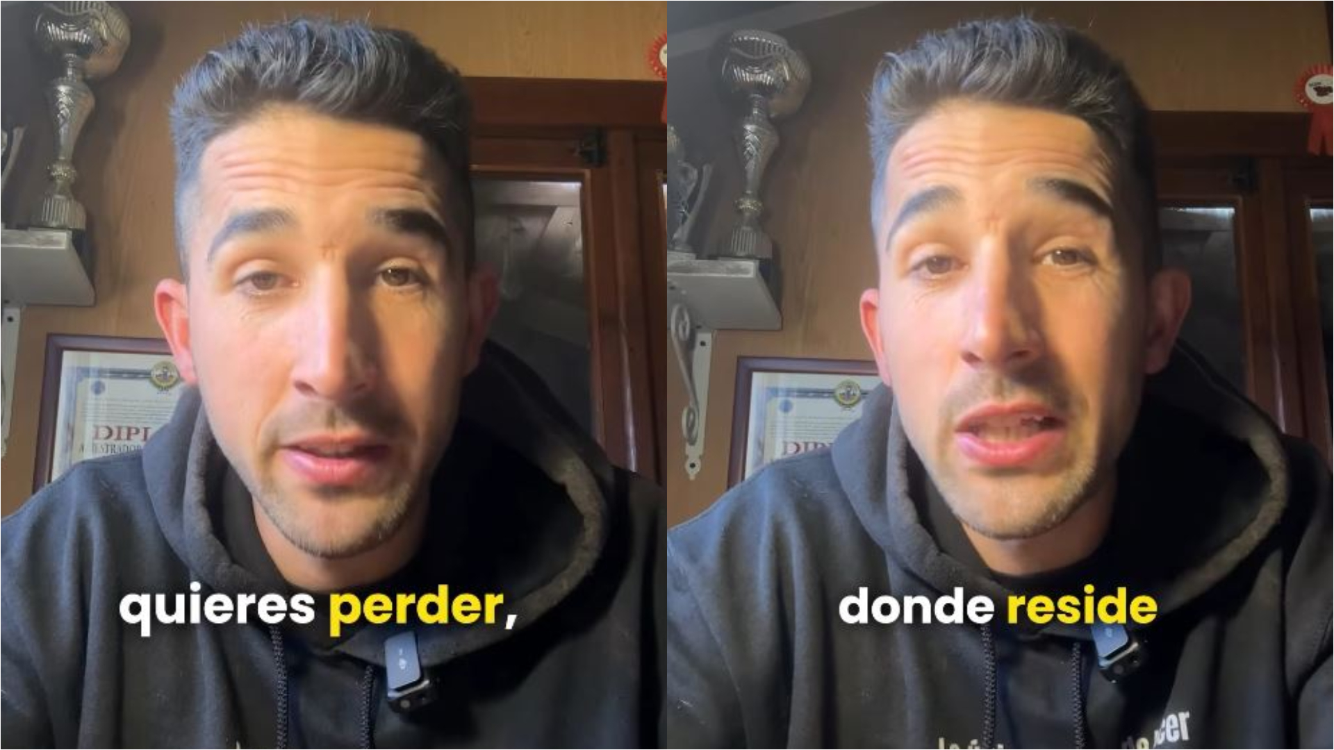 ¿Collar o Arnés? El Debate que Divide a los Dueños de Perros y la Respuesta de un Experto