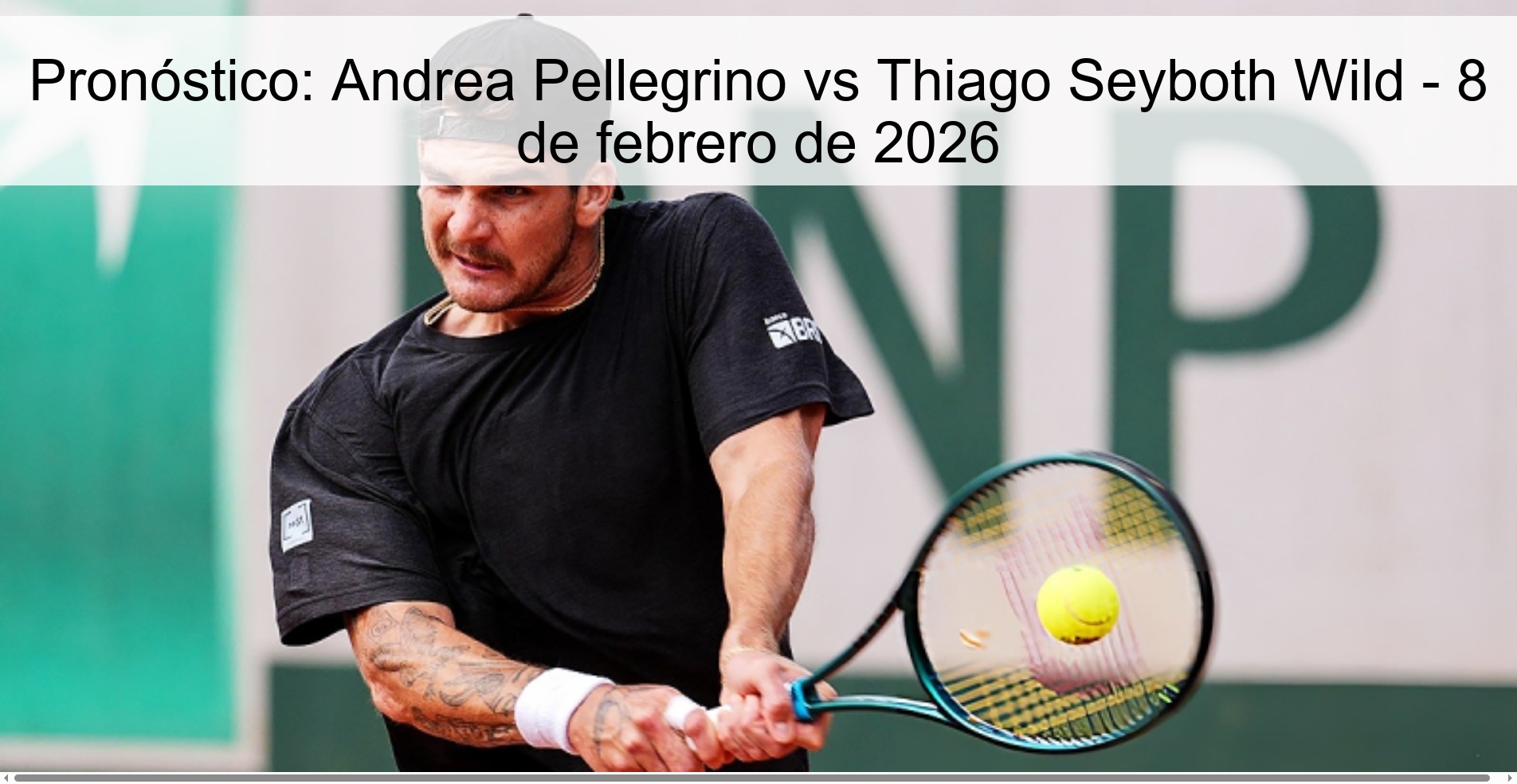 Pronóstico: Andrea Pellegrino vs Thiago Seyboth Wild – 8 de febrero de 2026
