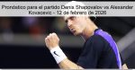 Pronóstico para el partido Denis Shapova