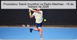 Pronóstico: Damir Dzumhur vs Pedro Martí