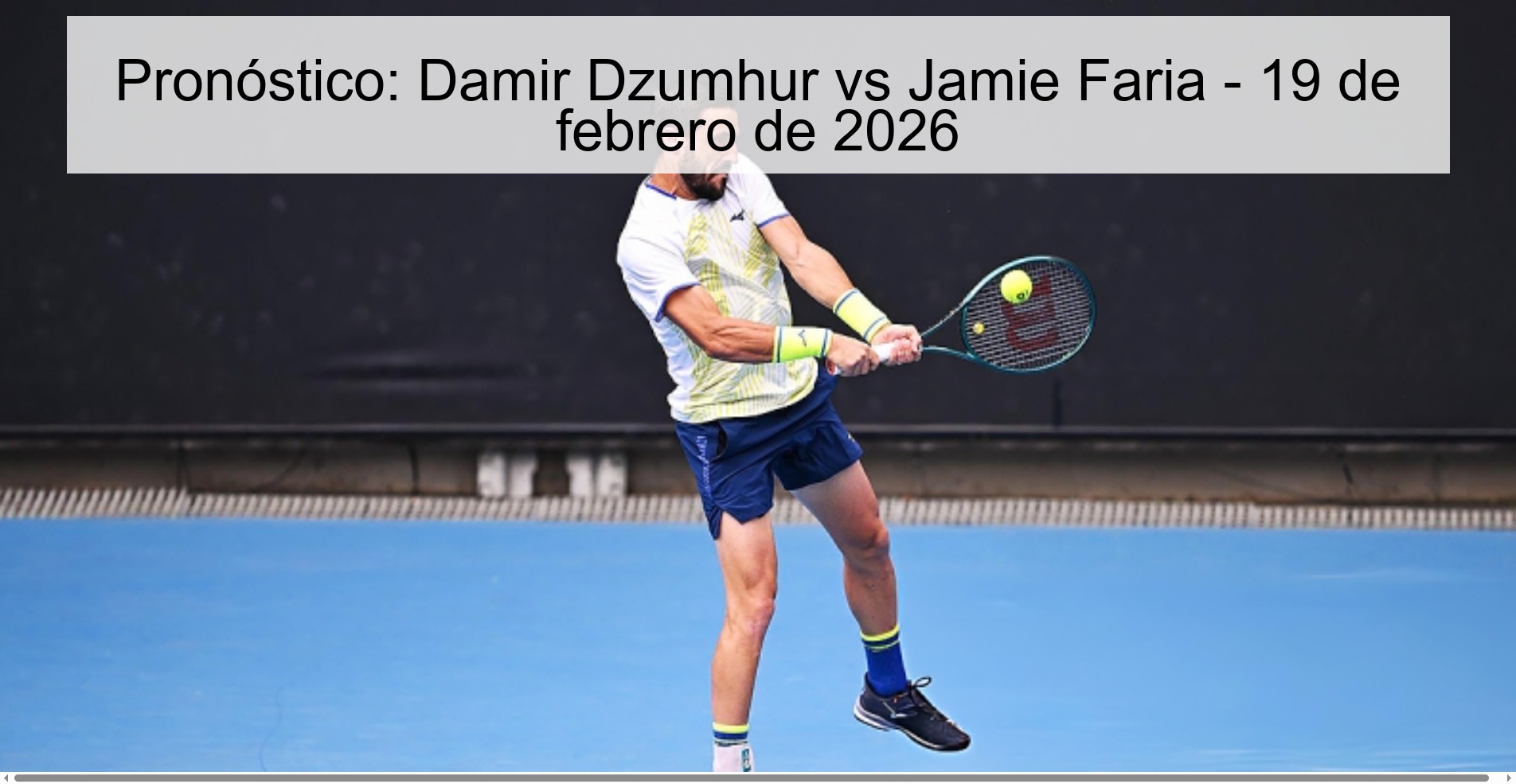 Pronóstico: Damir Dzumhur vs Jamie Faria – 19 de febrero de 2026
