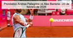 Pronóstico Andrea Pellegrino vs Alex Bar