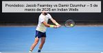 Pronóstico: Jacob Fearnley vs Damir Dzum