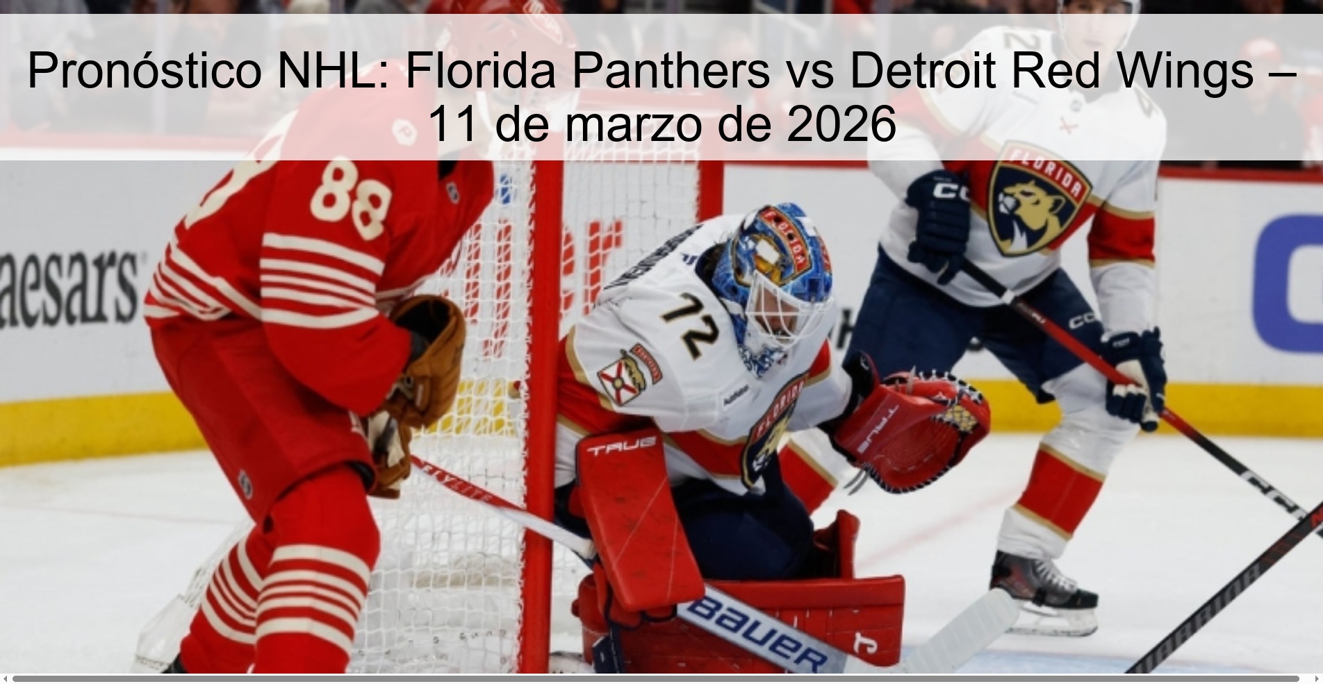 Pronóstico NHL: Florida Panthers vs Detroit Red Wings – 11 de marzo de 2026
