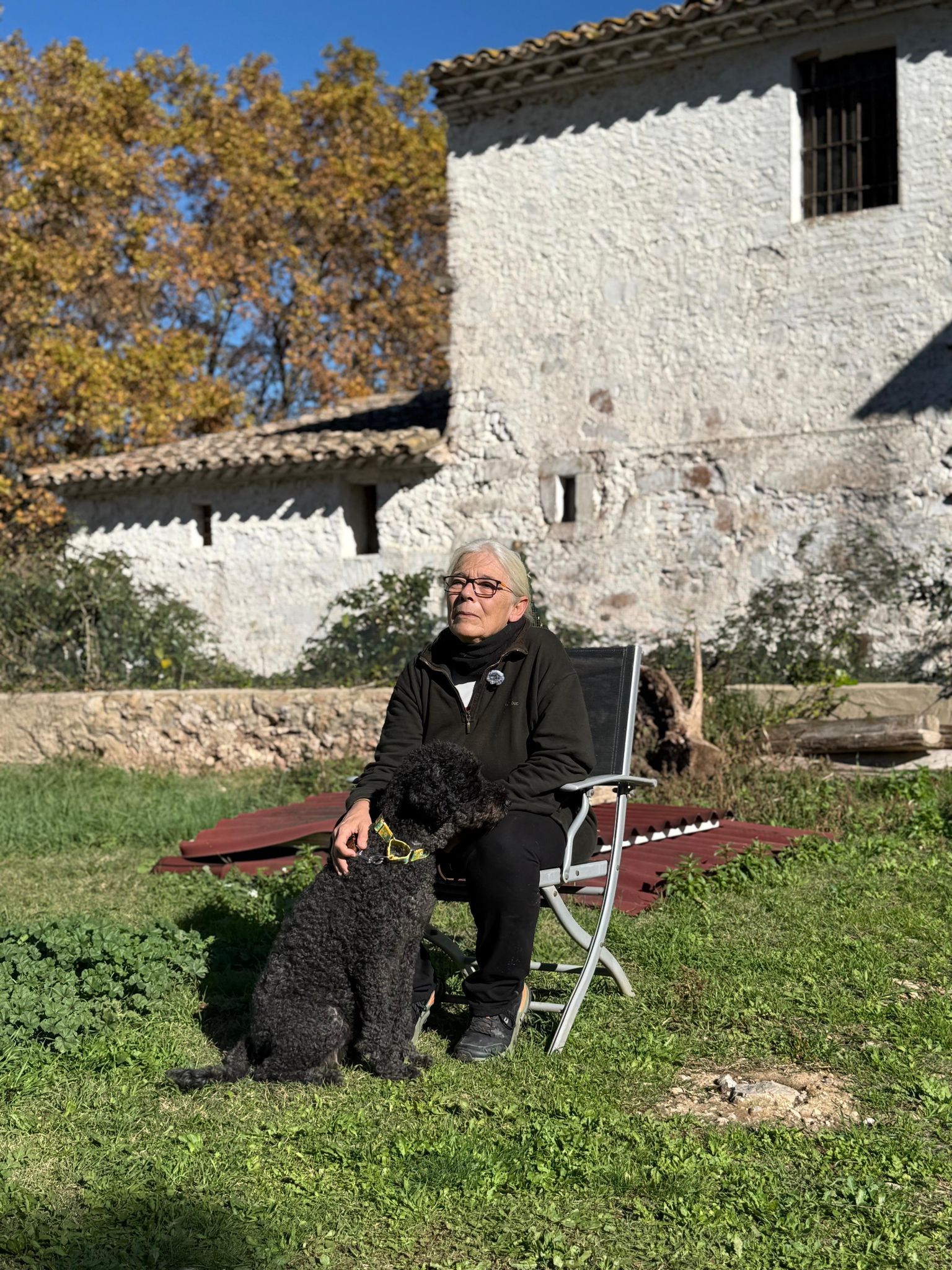 Vallirana se convierte en refugio de esperanza para perros y gatos abandonados