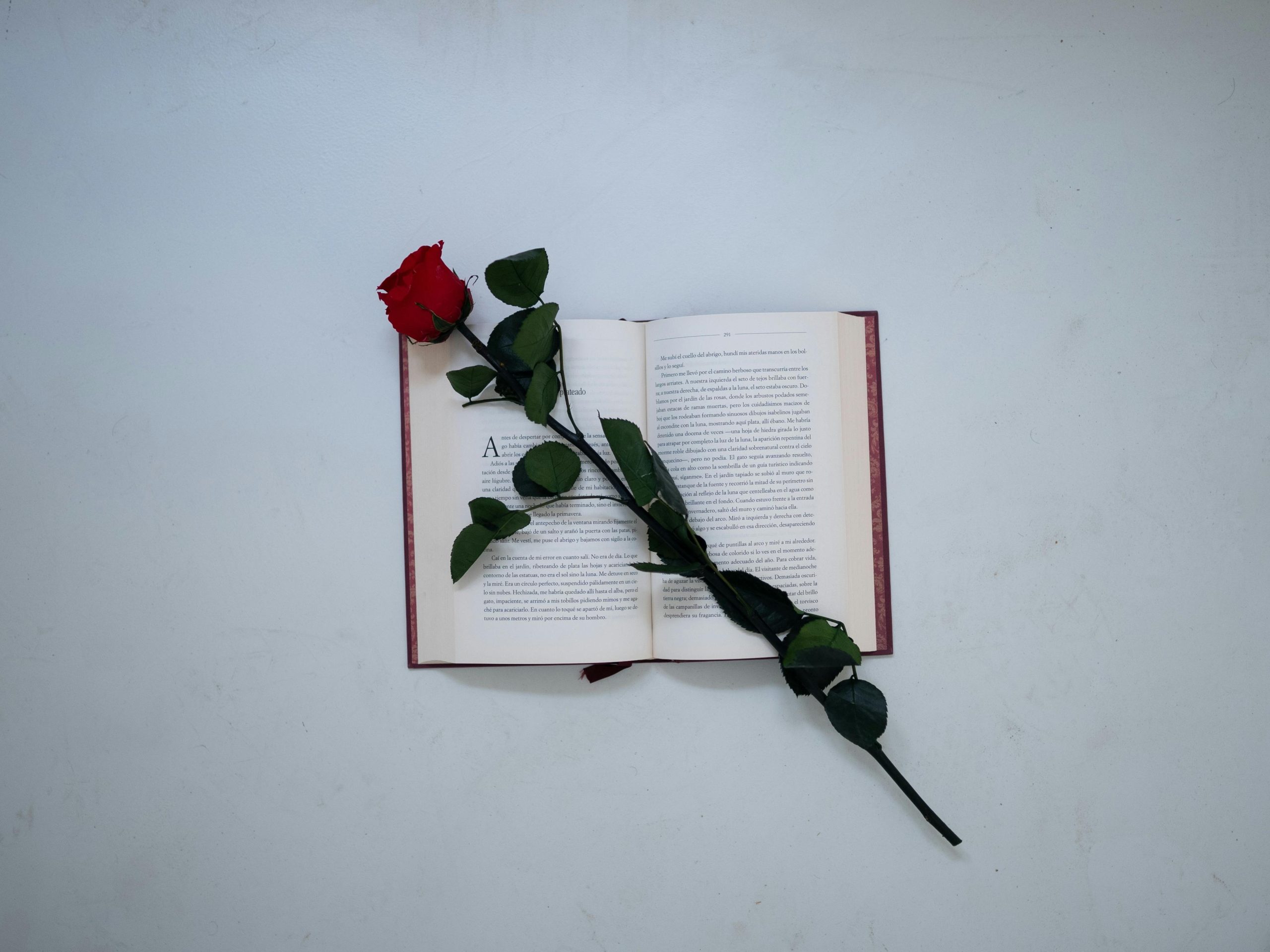 La Magia de Sant Jordi: Celebración del Amor y la Cultura en Cataluña