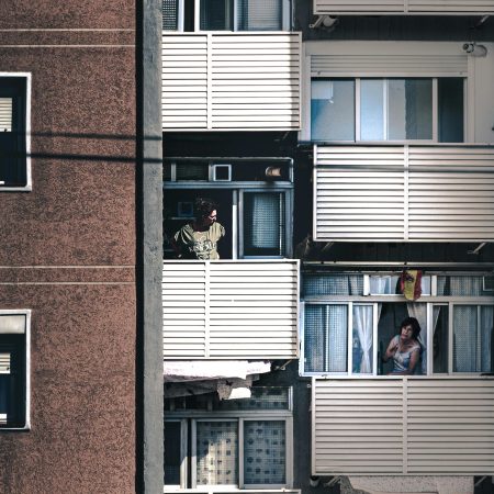 ¿Tienes una mascota en casa? Lo que debes saber sobre las normativas en comunidades de vecinos