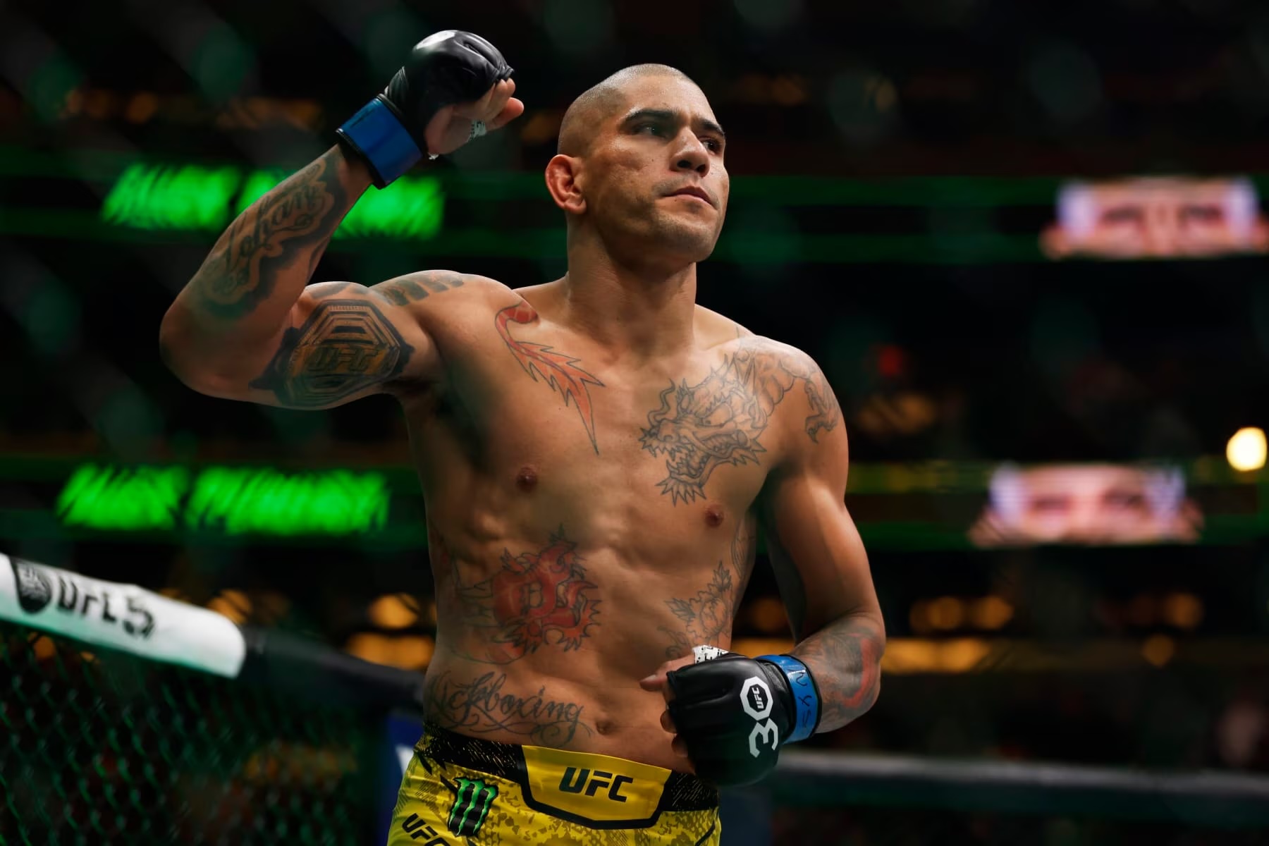 ¡Alex Pereira Conquista Nuevas Alturas! El Brasileño Busca Hacer Historia en la División de Pesos Pesados