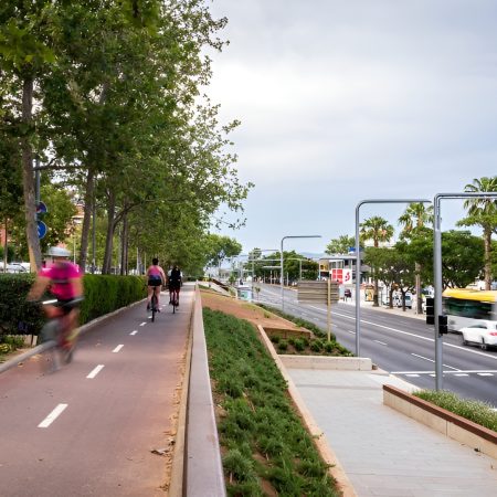 Catalunya sobre Ruedas: La Sorprendente Realidad de los Carriles Bici Revelada