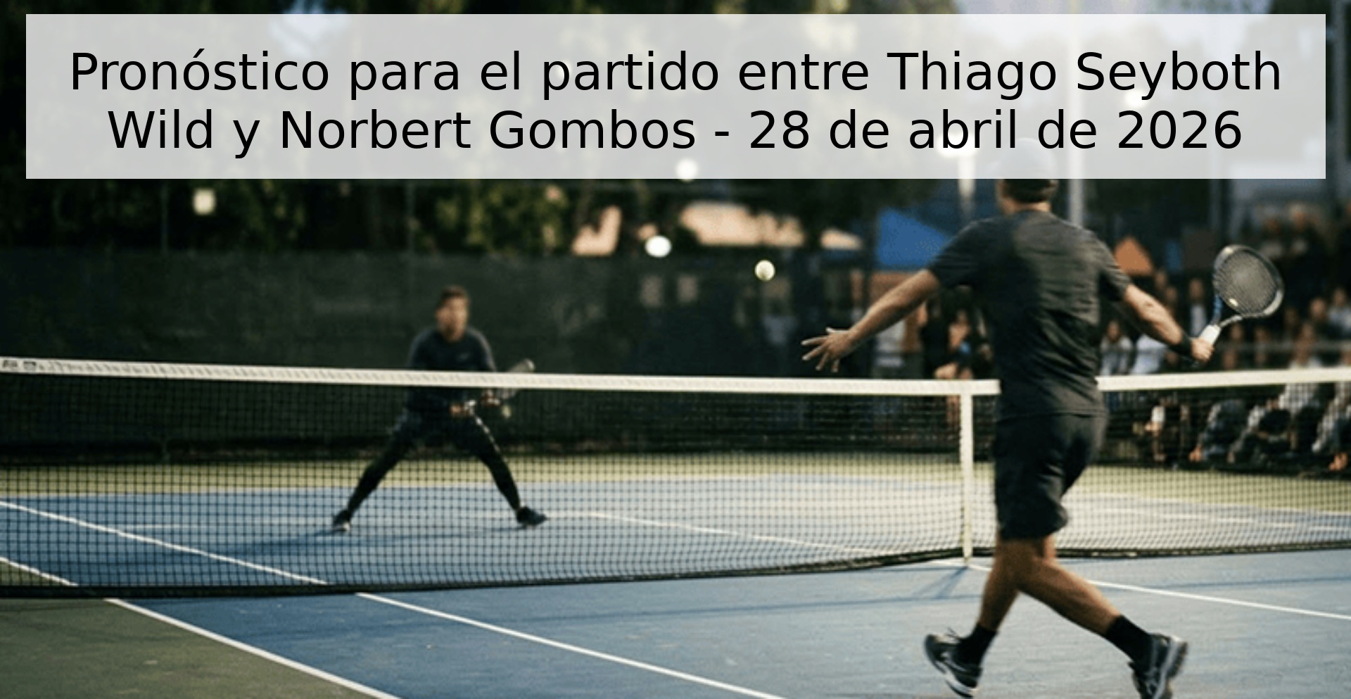 Pronóstico para el partido entre Thiago Seyboth Wild y Norbert Gombos - 28 de abril de 2026