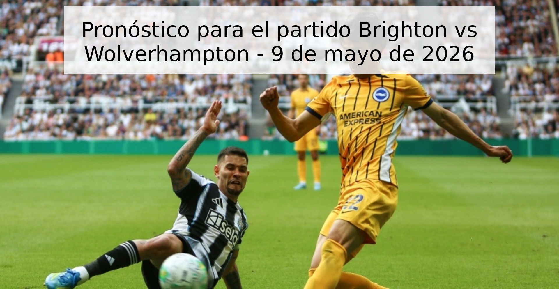 Pronóstico para el partido Brighton vs Wolverhampton - 9 de mayo de 2026 Pronóstico para el partido Brighton vs Wolverhampton - 9 de mayo de 2026