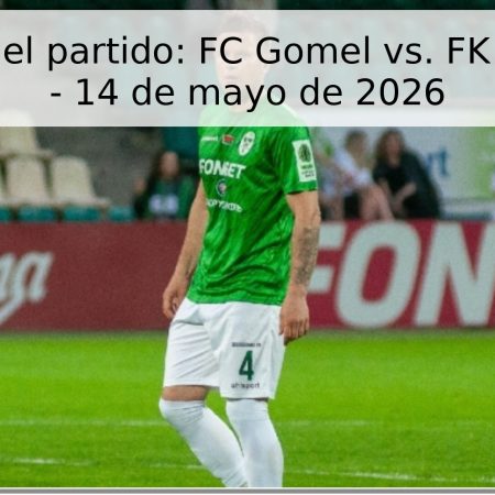 Pronóstico del partido: FC Gomel vs. FK Baranovichi – 14 de mayo de 2026