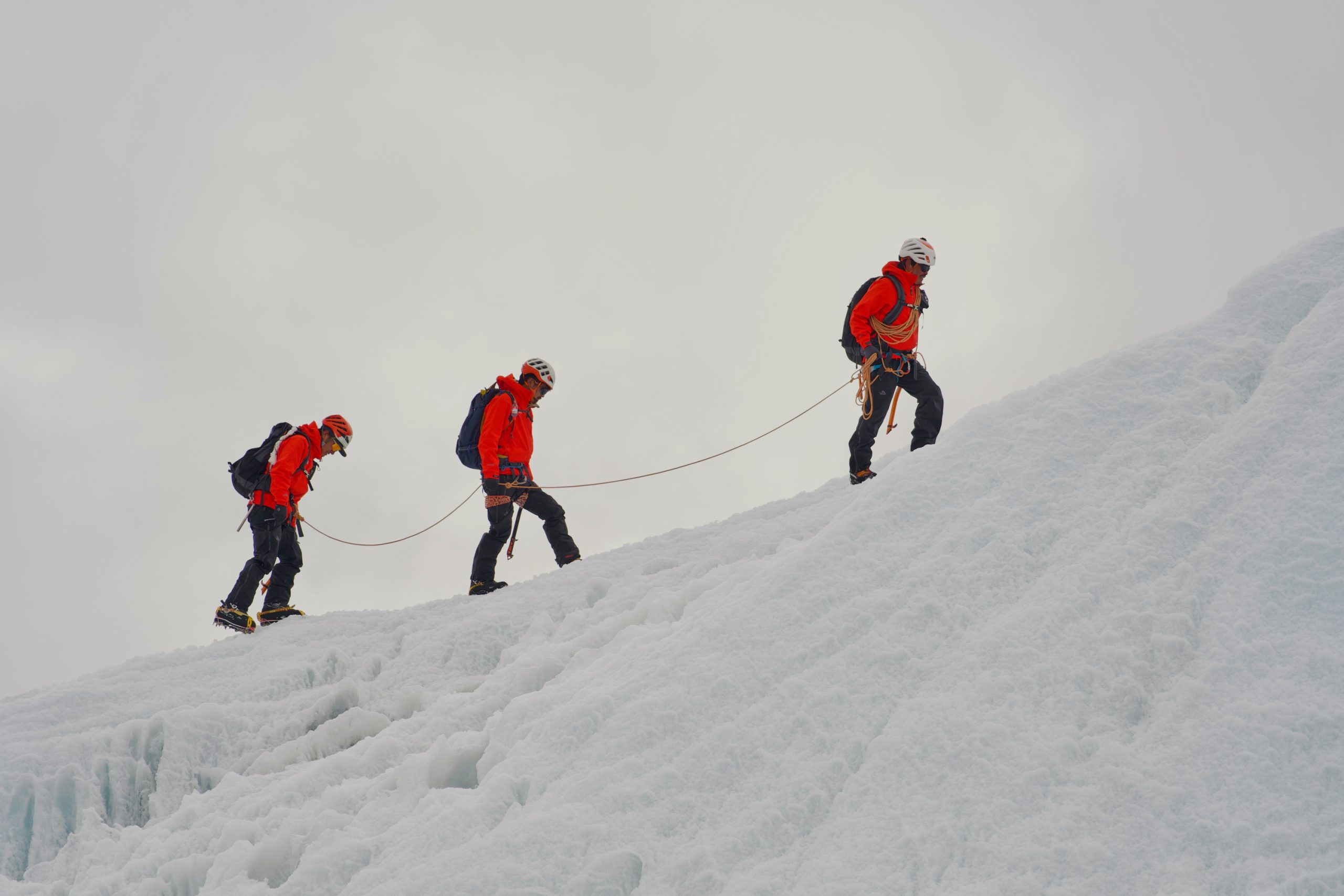 Everest: ¡La Puerta al Cielo Abierta! Sherpas Valientes Conquistan la Cima y Dan Luz Verde a la Temporada 2026