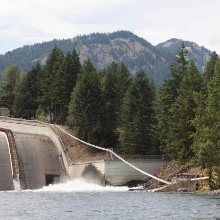El “Cañón de Salmones”: ¿Solución Revolucionaria o Parche Tecnológico?