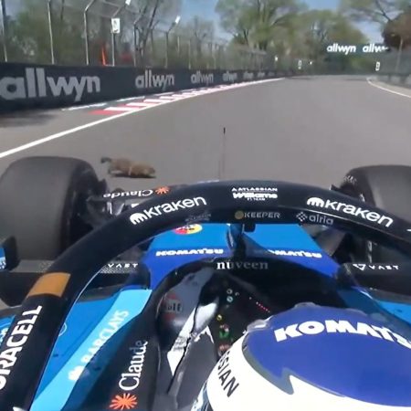 ¡La F1 se detiene por un inesperado protagonista animal en Canadá!