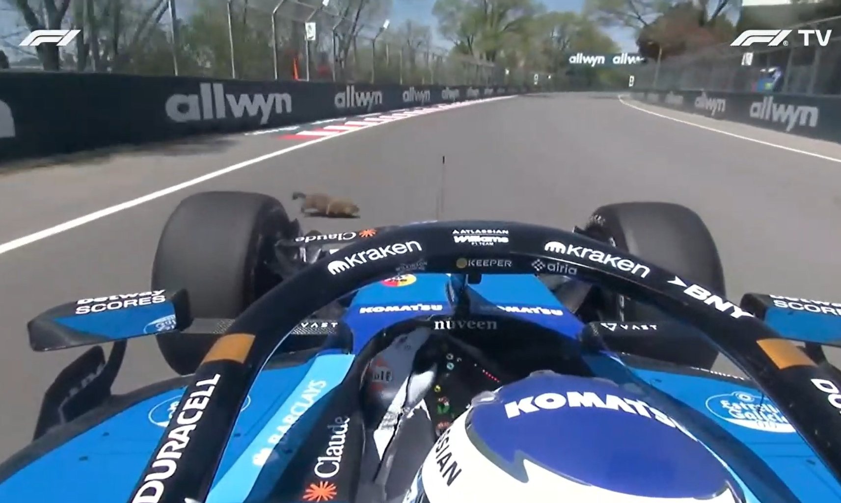 ¡La F1 se detiene por un inesperado protagonista animal en Canadá!