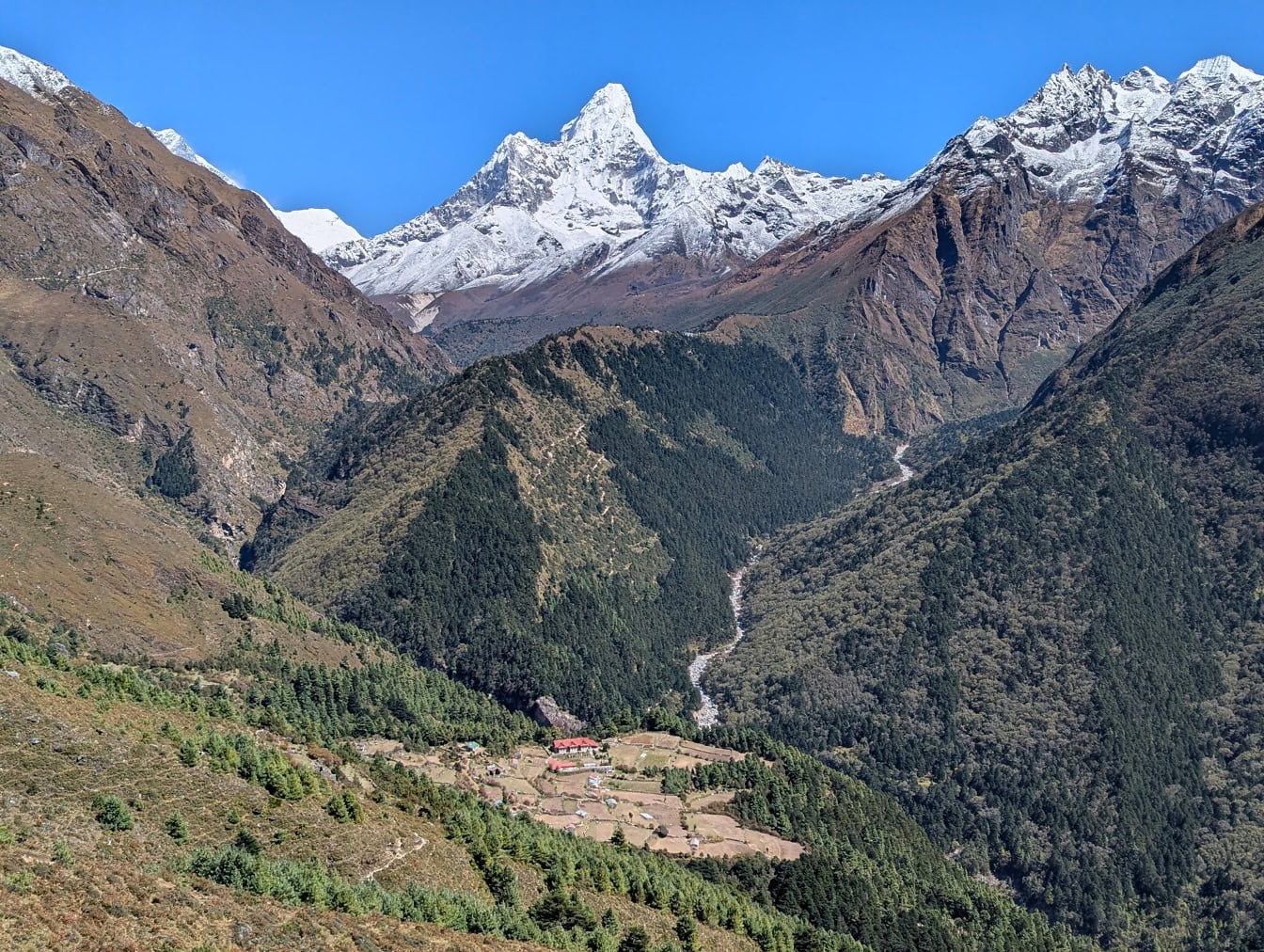 El Himalaya se tiñe de verde: ¿Una bendición o una advertencia climática?
