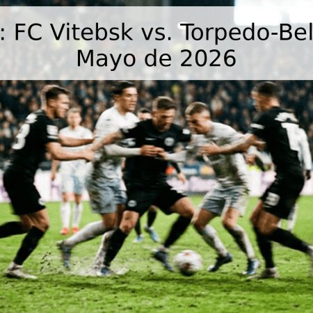 Pronóstico: FC Vitebsk vs. Torpedo-BelAZ – 17 de Mayo de 2026