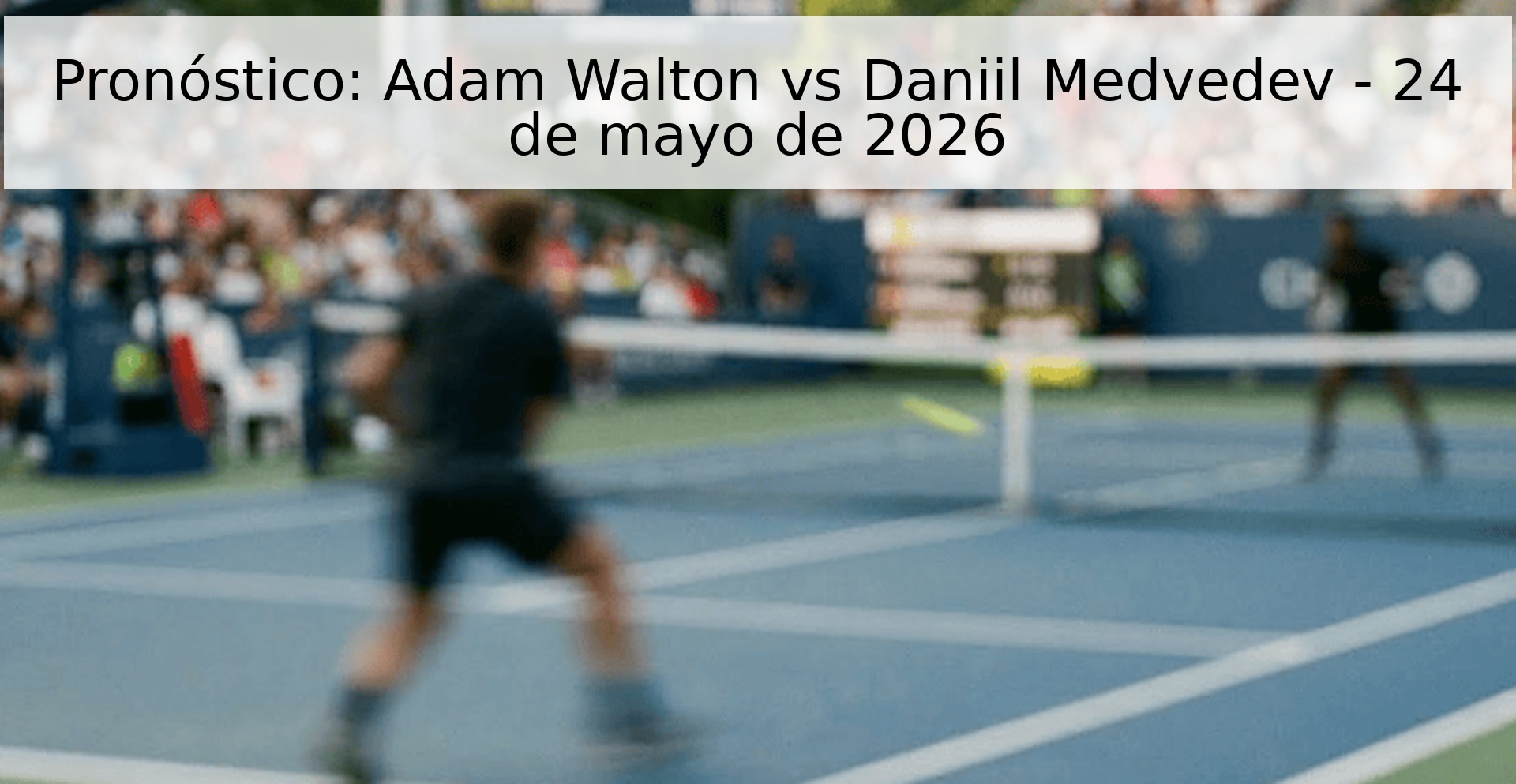 Pronóstico: Adam Walton vs Daniil Medvedev - 24 de mayo de 2026