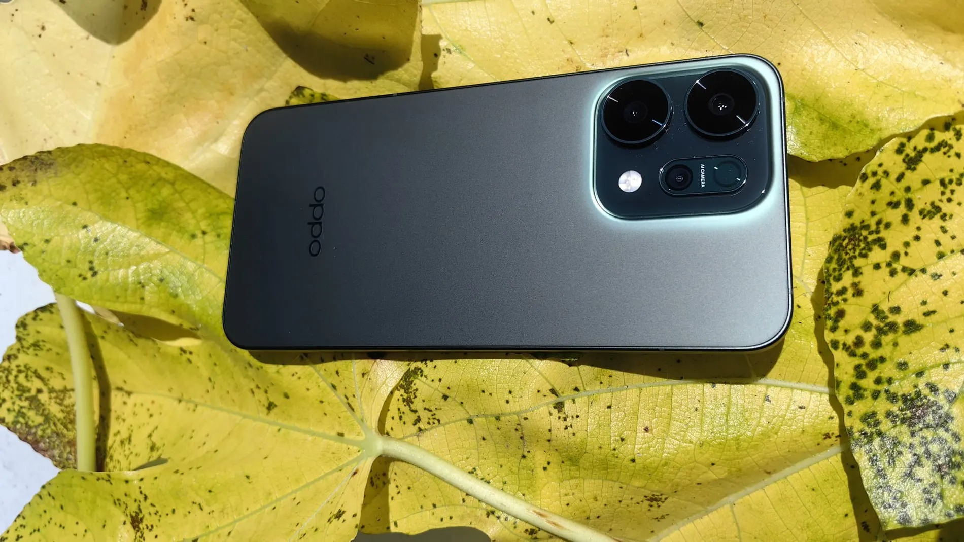 ¡Revolución en la Gama Media! Baterías Titánicas y Resistencia IP: Los Nuevos Reyes de OPPO