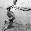 El Legado Imborrable del “Expreso de Elmira”: La Trágica Historia de Ernie Davis y su Encuentro con la Historia