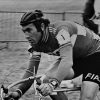 Merckx: El Caníbal Cumple 81 Años, Un Legado Inigualable y Batallas Épicas